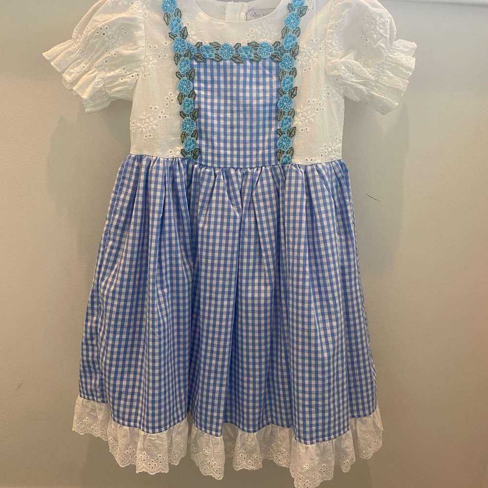 Adorable Blue and White Gingham Kids Costume Dress
